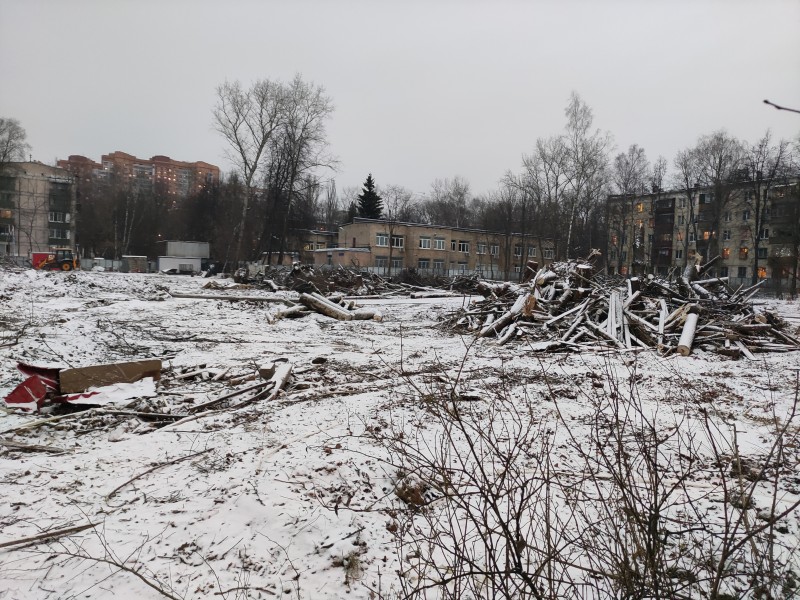 А деревья пусть горят синим пламенем (в костре реновации)