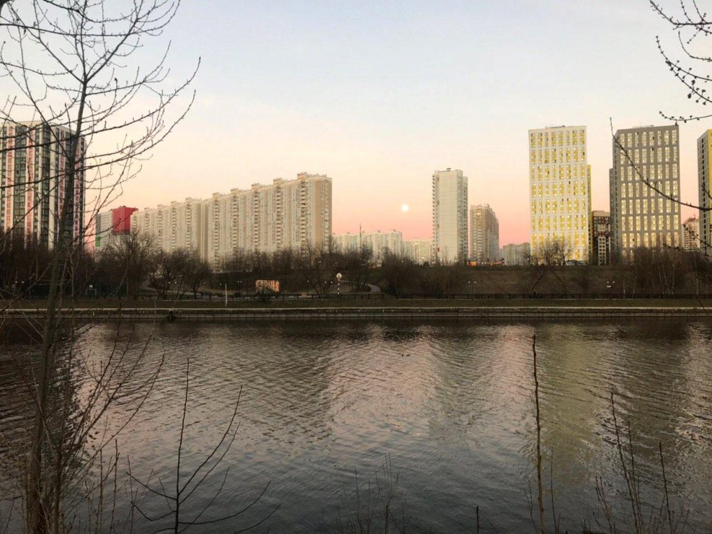 В Филевском парке обустроят набережную
