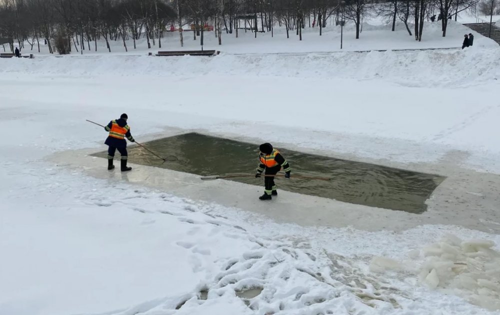 Как спасали уток в Бутово