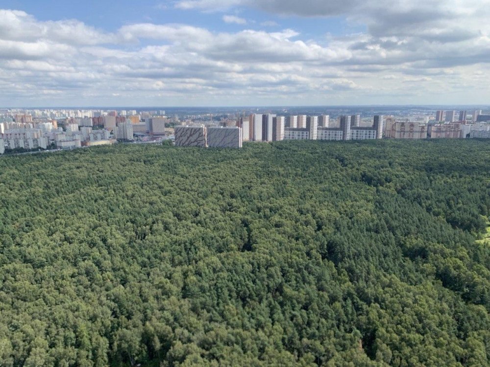 Эксперты проверят качество строительства дома в Нагорном районе