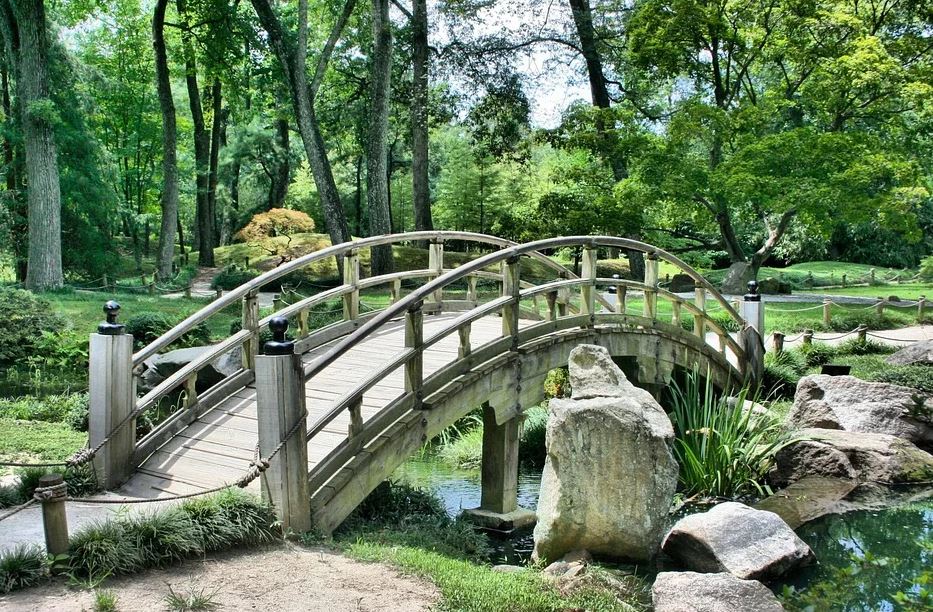 Благоустройство парка у Северного речного вокзала завершат в 2020 году