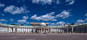Бочкарёв: новый корпус НИИ Склифосовского оснастят вертолетной площадкой
