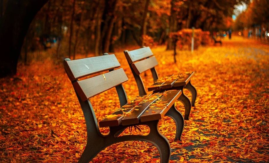 Как территория вокруг станции метро «Южная» преобразится