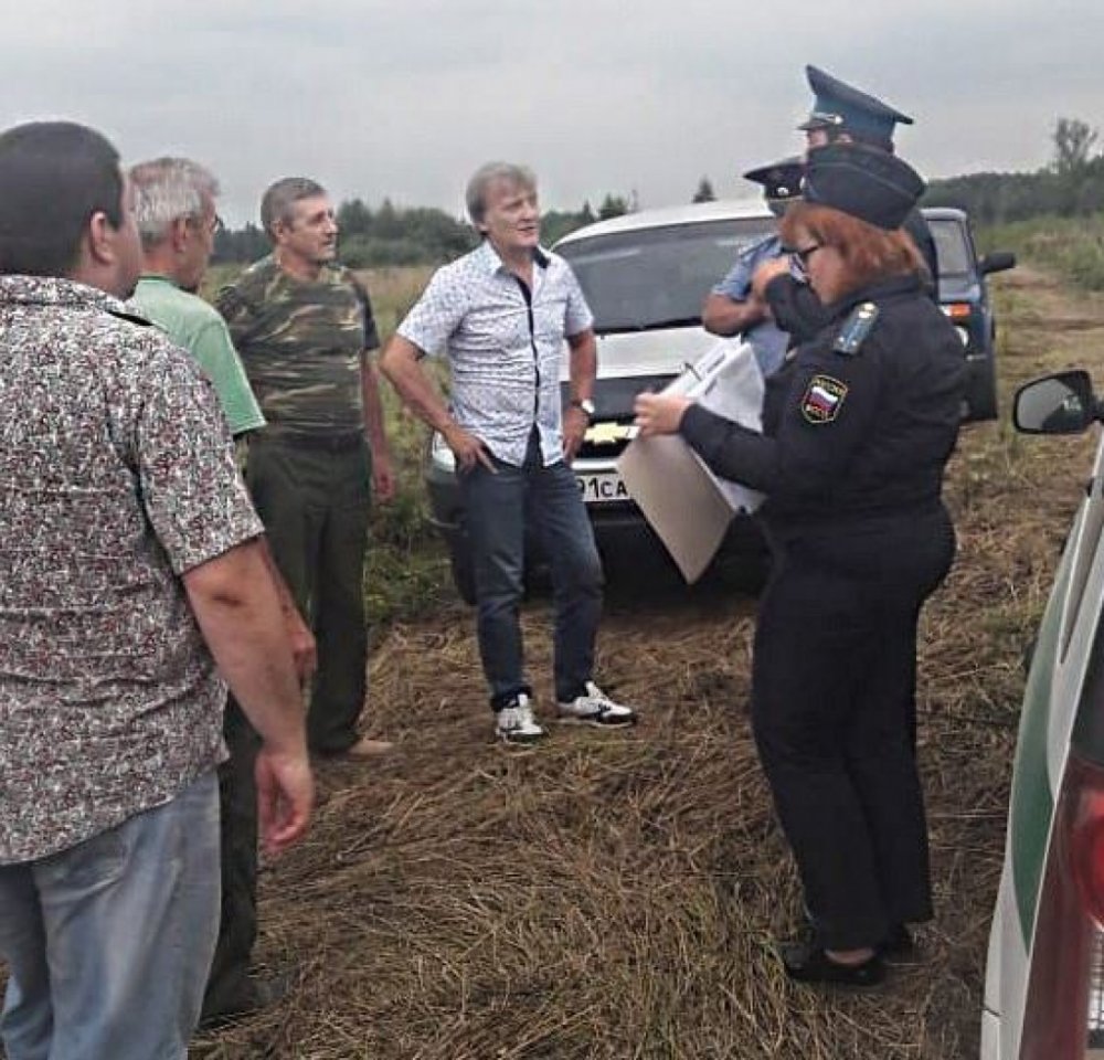 Как в Рузском городском округе пресечена незаконная вырубка деревьев