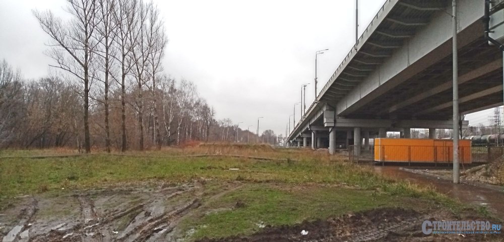 Хорда с душком