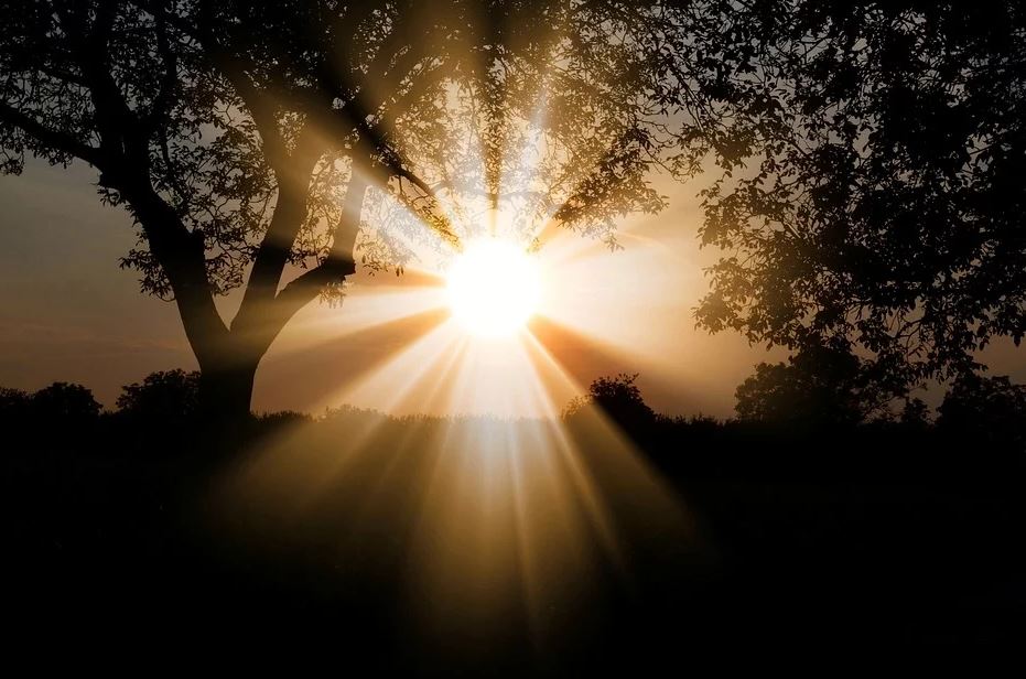 Погода в Москве может стать самым теплой за всю историю наблюдений