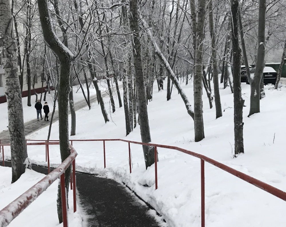 Южную часть Центрального парка в Реутове начнут благоустраивать весной